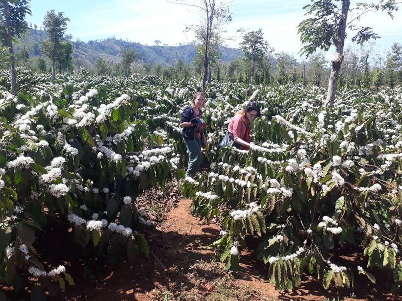 1 Day Easy Rider Tour in Dalat–Villages, Farms & Waterfalls - Linh An temple as your cultural anchor for the whole day