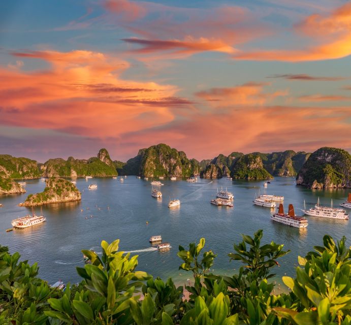 2-Day Ha Noi - Ninh Binh - Ha Long Bay Highlights Tour - Who This Tour Fits Best (and Who Should Skip It)