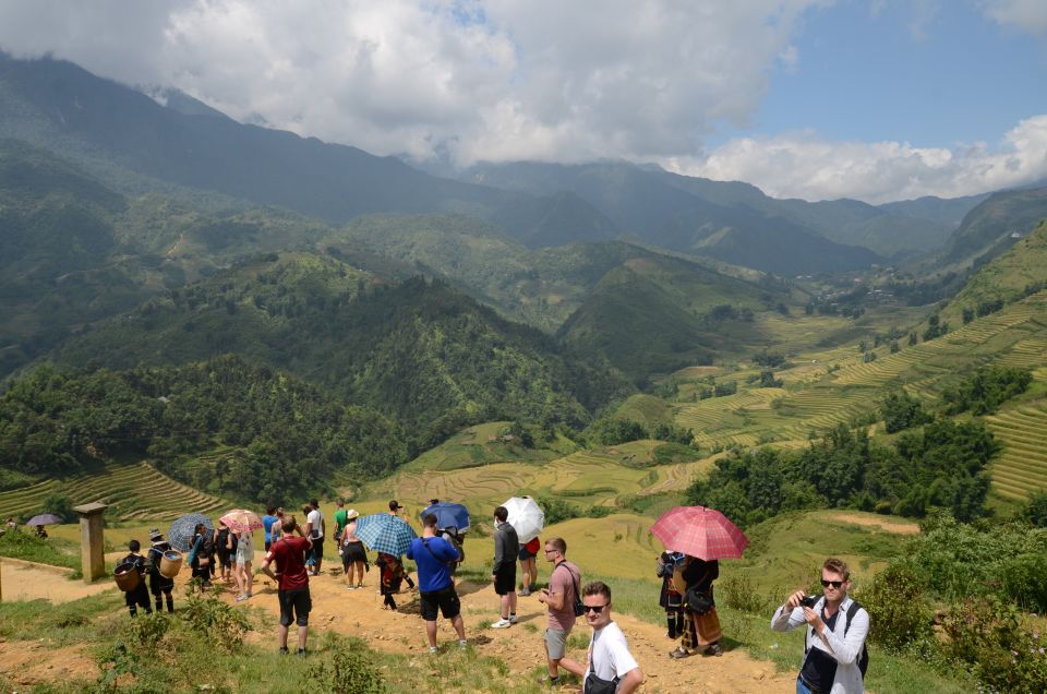 2-Day Sa Pa Ethnic Homestay Tour & Trek with Limousine Bus - Day 2 trek: rice paddies, bamboo forest, Giang Ta Chai Bridge, and a shower break