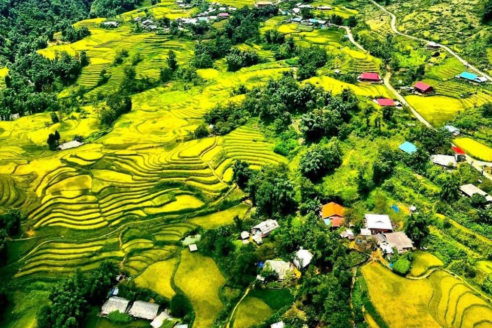 2-Day Sapa Tour - Overnight in Ta Van Village (All in One) - Day 2: Bamboo Forest, Giang Ta Chai Bridge, and Photo Stops