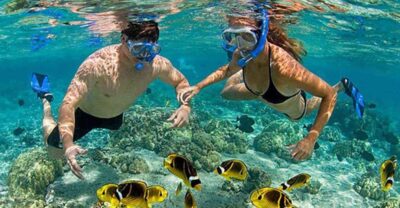 Amazing Snorkeling at Cham Island - The morning tempo from Hoi An or Da Nang to Cua Dai