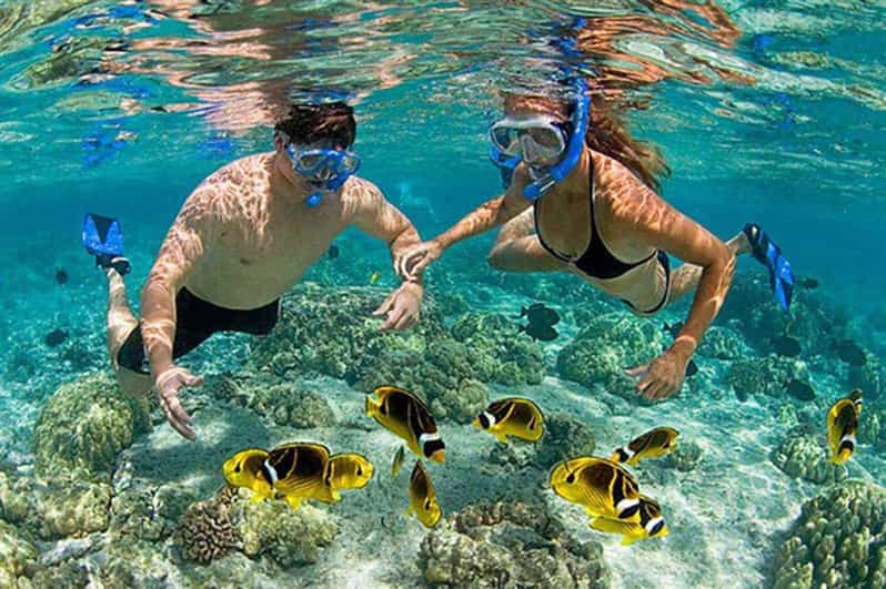 Amazing Snorkeling at Cham Island - Gear, guide, and boat format: comfort and control