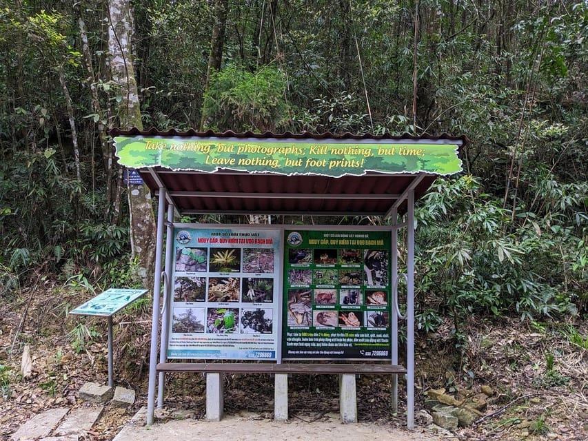 Bach Ma National Park Trekking Tour From Hue/Da Nang/Hoi An - Do Quyen Waterfall: Where the Day Turns Scenic