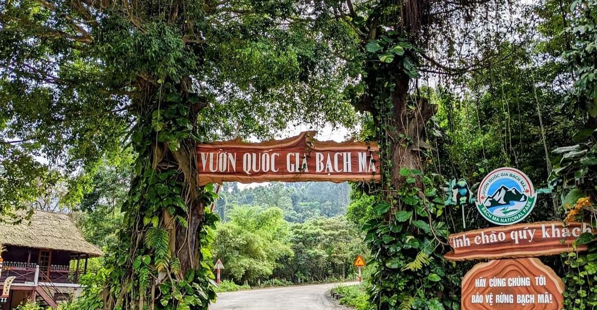 Bach Ma National Park Trekking Tour From Hue/Da Nang/Hoi An - Getting There: Pickup Times from Hue, Da Nang, and Hoi An