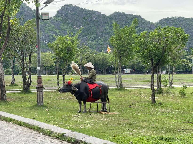 Best Ninh Binh Tour 1-Day, Small Group - Multiple Options - Hoa Lu Temples: Visiting Vietnam’s 10th-Century Capital