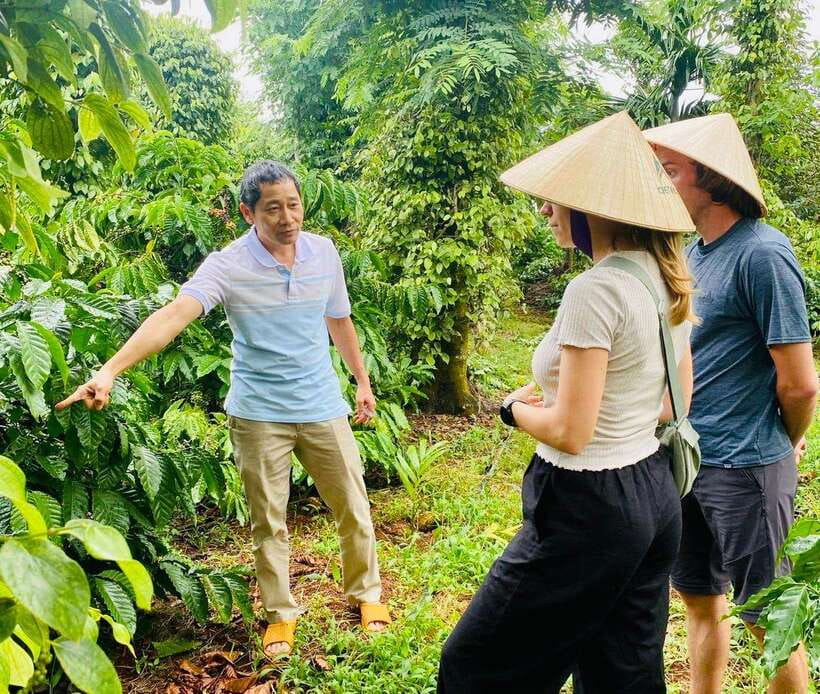 Buon Ma Thuot: Bean to Brew Coffee Farm Tour with Tasting - Entering a Buon Ma Thuot Coffee Farm 10 km From Town