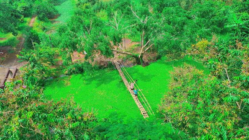 Can Tho: Floating Market & Lung Ngoc Hoang Nature Reserve - Noodles and local hands: the traditional noodle house stop