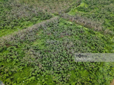 Can Tho: Lung Ngoc Hoang Forest Nature Reserve Half-Day Tour - Morning vs afternoon: how the 8:00 AM and 2:00 PM options change the day