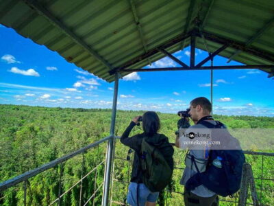 Can Tho: Lung Ngoc Hoang Nature Reserve & Forest Tour - Getting there: pickup, meeting point, and the reality of road time