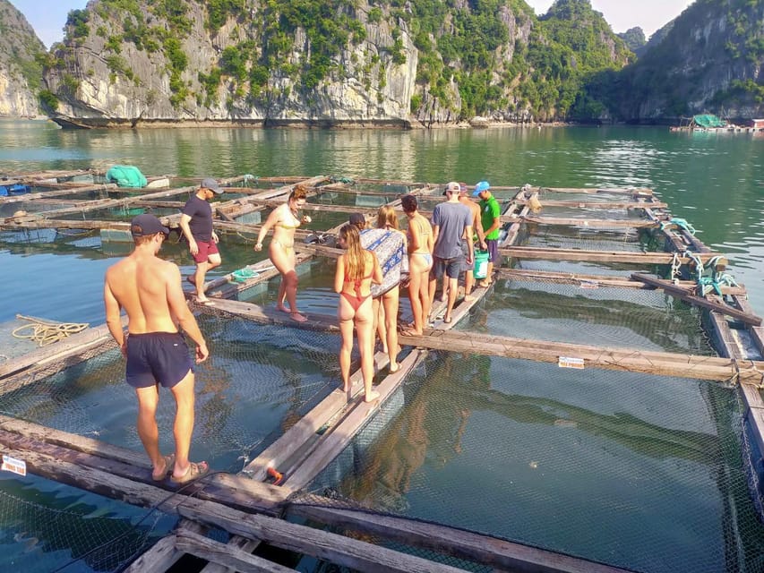 Cat Ba: 2-Day Lan Ha Bay Cruise with Plankton Excursion - Day 2 at 9am: Dawn Air, Caves (Bat/Dark/Bright), and a Quieter Lan Ha