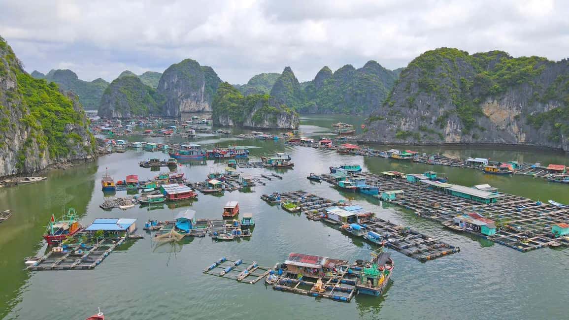 Cat Ba/Ha Noi: Lan Ha and Monkey Island Full Day Boat Trip - Monkey Island at late afternoon: sunset views and active choices