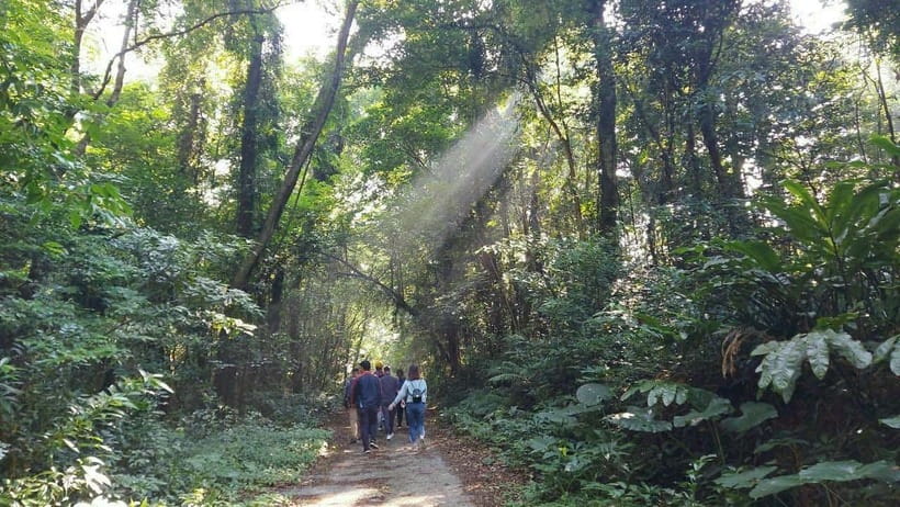 Cat Ba: National Park Day Trip with Cycling and Kayaking - Price and value: what $66 really buys you