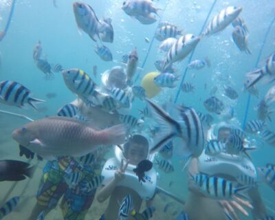 Cham Island: Underwater Walking & Snorkeling Tour - From Hoi An to Cua Dai Wharf: the day starts with ocean air