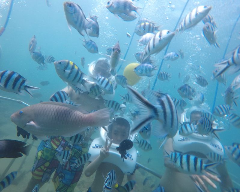 Cham Island: Underwater Walking & Snorkeling Tour - From Hoi An to Cua Dai Wharf: the day starts with ocean air
