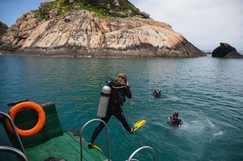 Cham Islands Snorkeling Tour by Speedboat : Hoi An/Da Nang - What’s included (and what you’ll likely skip)