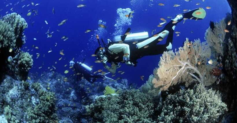 Cham Islands Snorkeling Tour by Speedboat : Hoi An/Da Nang - Who should book this Cham Islands speedboat snorkeling tour?
