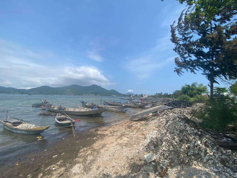 Chan May Port : to Golden Bridge/Imperial City/Hoi An Town - Price and value: what you’re really paying for at $20 per person