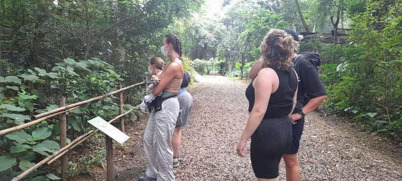 Cuc Phuong National Park Hiking Tour - Key Things That Make This Tour Work So Well