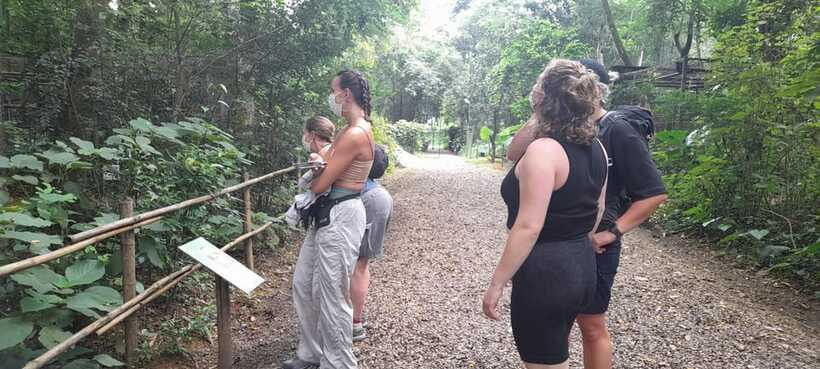 Cuc Phuong National Park Hiking Tour - Cave of Prehistoric Man: 168 Steps and 7,500-Year-Old Human Clues