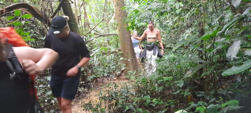 Cuc Phuong National Park Hiking Tour - Pickup, Van Ride Timing, and How to Plan Your 8–10 Hours