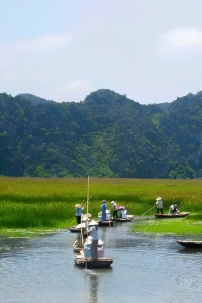 CUC PHUONG NATIONAL PARK - VAN LONG DAI LY TOUR DAY TRIP - Pickup, Coach Time, and the Small-Group Pace