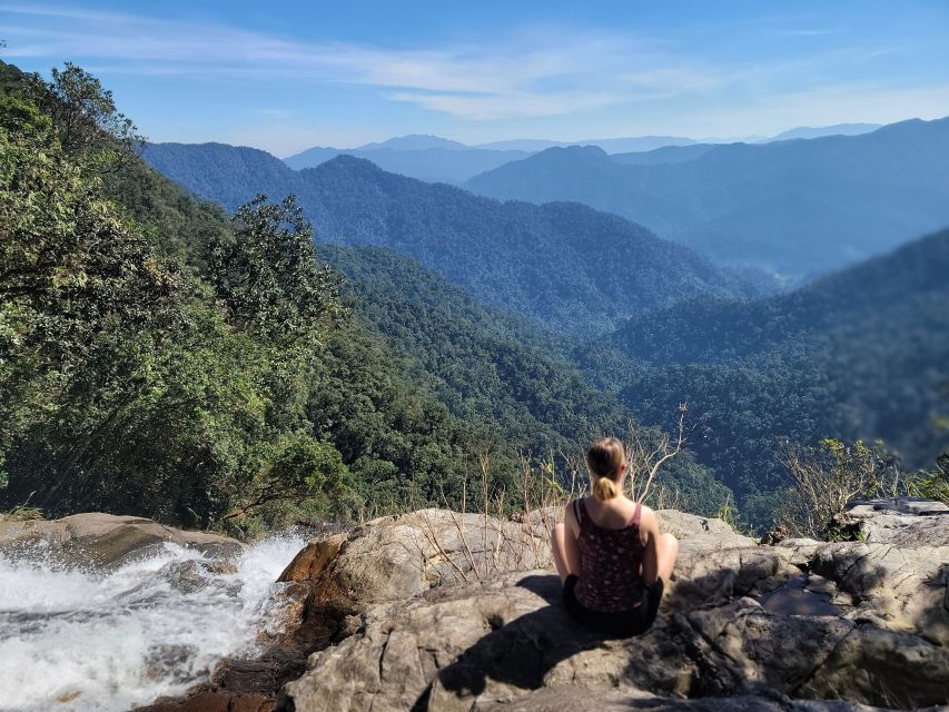 Da Nang/Hoi An to Hue via Bach Ma National Park Trekking - Da Nang/Hoi An pickup and the Hai Van Pass viewpoint switchback