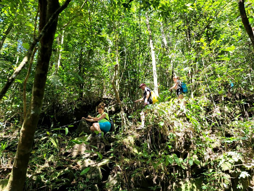 Da Nang/Hoi An to Hue via Bach Ma National Park Trekking - Picnicking at the mountains: a proper break before the final ascent