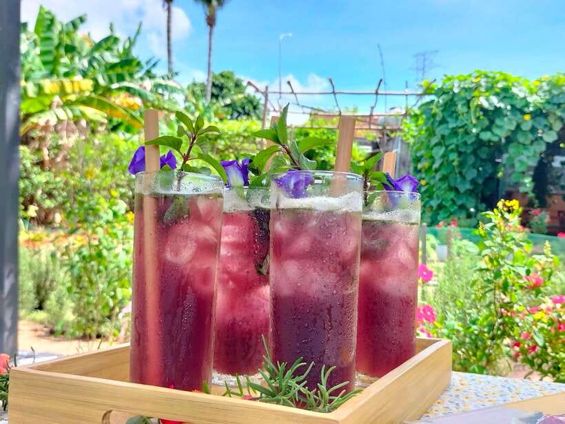 Da Nang Vegetarian Cooking and coffee Class - Key takeaways that matter