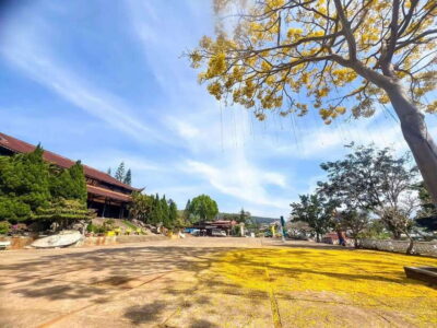Dalat: 3 Waterfalls Day Tour — Datanla, Pongour & Elephant - The Schedule at a Glance: A Busy, Purposeful Day
