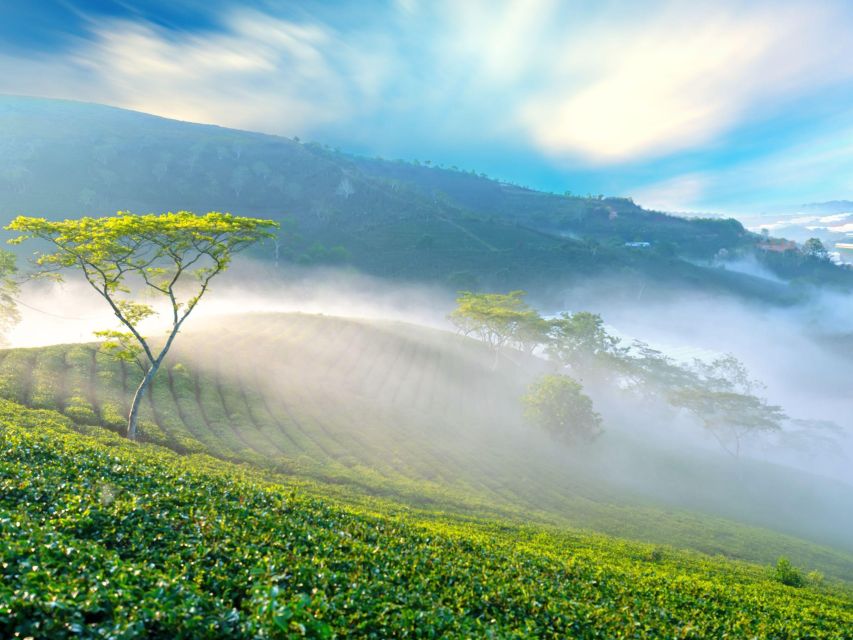 Dalat: Best of the Countryside Tour in a Private Car - Key Points at a Glance