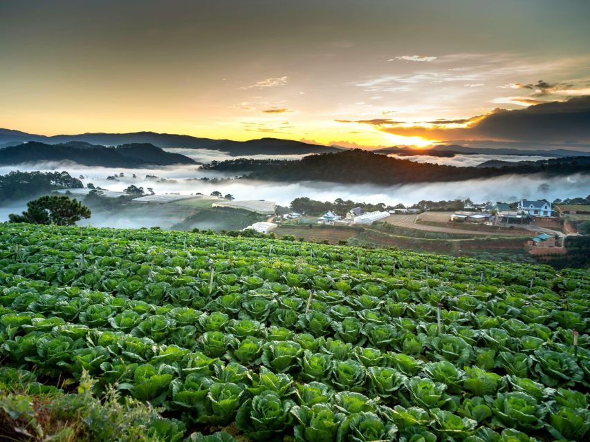 Dalat: Best of the Countryside Tour in a Private Car - Elephant Waterfalls: Roaring Power and Linh An Pagoda’s Lady Buddha