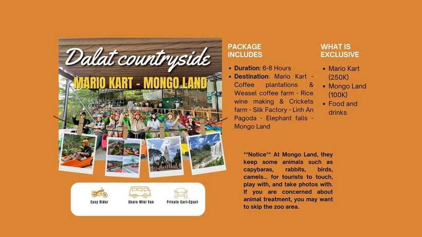 Dalat: Mario kart - Mongo Land - Countryside Tour - Elephant Waterfall is closed, but the Lady Buddha views still hit