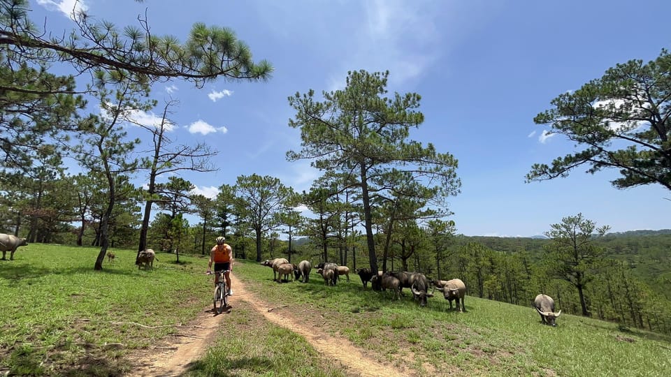 Dalat mountain biking tour - What the guides do that actually matters on a tough trail