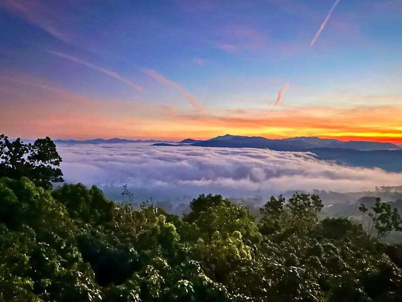 DaLat: Sunrise, Clouds, Peaceful Mornings from 4:00 to 10:00 - Cầu Đất sunrise at Thiên Đường Săn Mây: why 4:00 matters