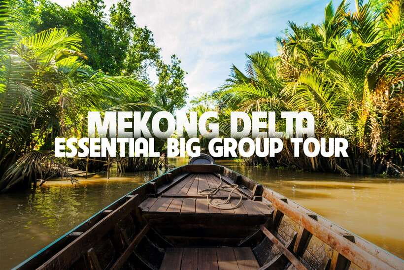 Essential Mekong Delta: Highlight Tour from Ho Chi Minh City - The Morning Ride: Rice-Field Views and a Real Time Commitment