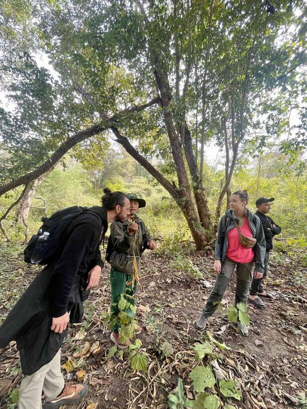 Exploring Don Village & Yok Don National Park - Key things you’ll notice on this tour