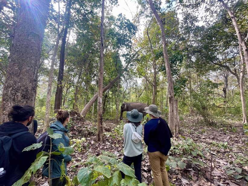 Exploring Don Village & Yok Don National Park - Ede longhouse, bamboo bridge over the Serepok River, and the Elephant King tomb