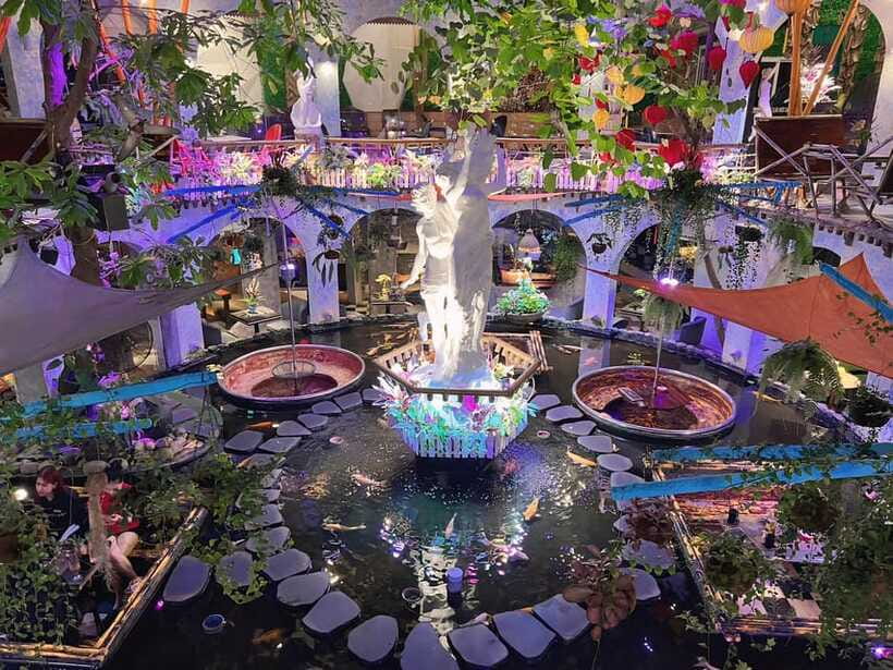 Free E-Sim Ho Chi Minh City: Pagodas and Coffee Corners Tour - Oasis Coffee and the koi pond: why this stop gets the biggest smiles