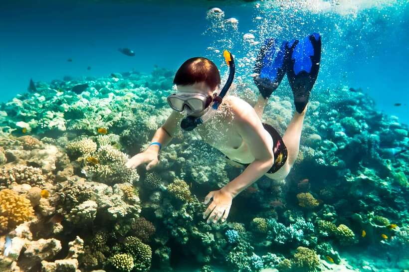 From Da Nang/Hoi An: Cham Islands Tour with Snorkeling - Start to finish: how the day on Cu Lao Cham runs