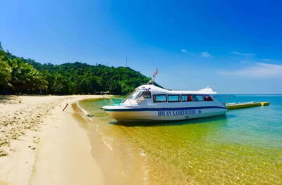 From Da Nang/Hoi An: Cham Islands Tour with Snorkeling - Lang Island: Marine Sanctuary fossils, the love well, and Lang Beach views