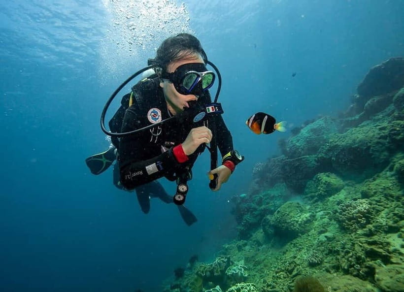 From Da Nang/Hoi An: Cham Islands Tour with Snorkeling - Chong/Ong Beach snorkeling: coral reefs, fish, and starfish