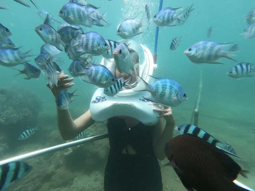 From Da Nang/Hoi An: Cham Islands Tour with Snorkeling - Should you book the Cham Islands snorkeling tour?