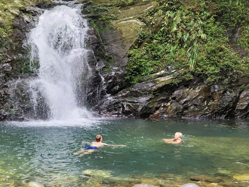 From Da Nang or Hoi An: Bach Ma National Park Trek & Lunch - The Jungle Part You Don’t Want to Rush: Wildlife and Sounds
