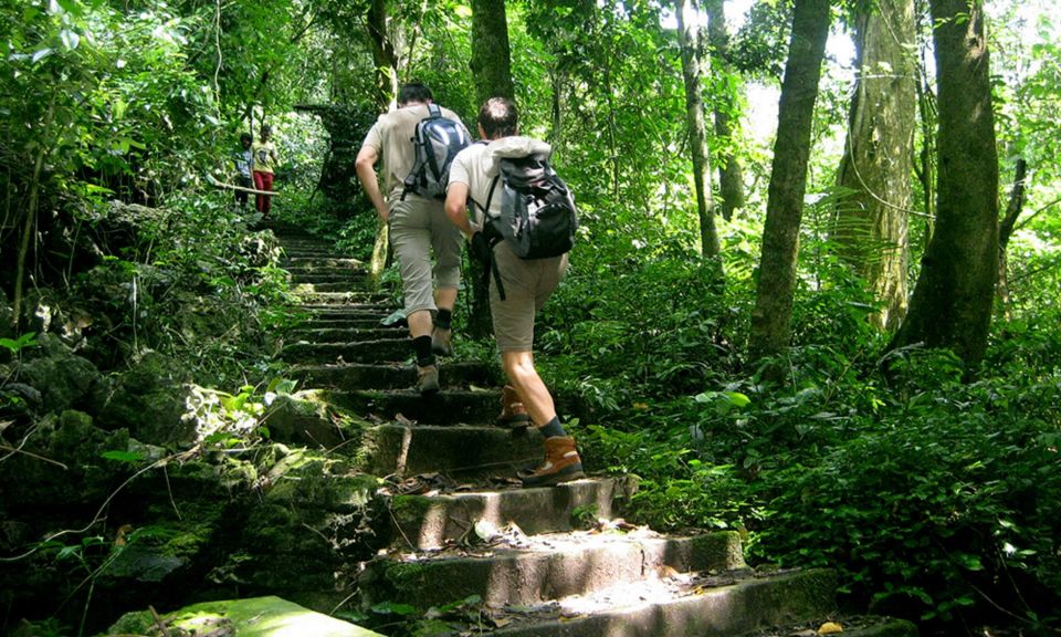 From Ha Noi Cuc Phuong National Park - Should you book it? My practical verdict