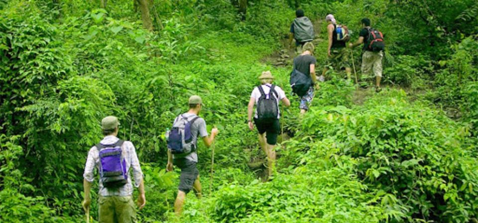 From Ha Noi Cuc Phuong National Park - Who should book this VN GO Cuc Phuong day trip