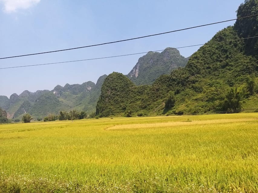From Hanoi: 2-Day Ban Gioc Waterfall Tour - Small Group - Should you book this 2-Day Ban Gioc Waterfall Small-Group Tour?