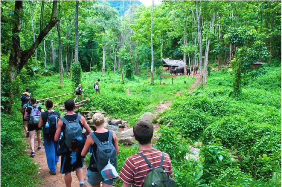 From Hanoi: 2-Day Ha Long Bay Tour with Ninh Binh and Cruise - Price and value: why $110 can work for two full days