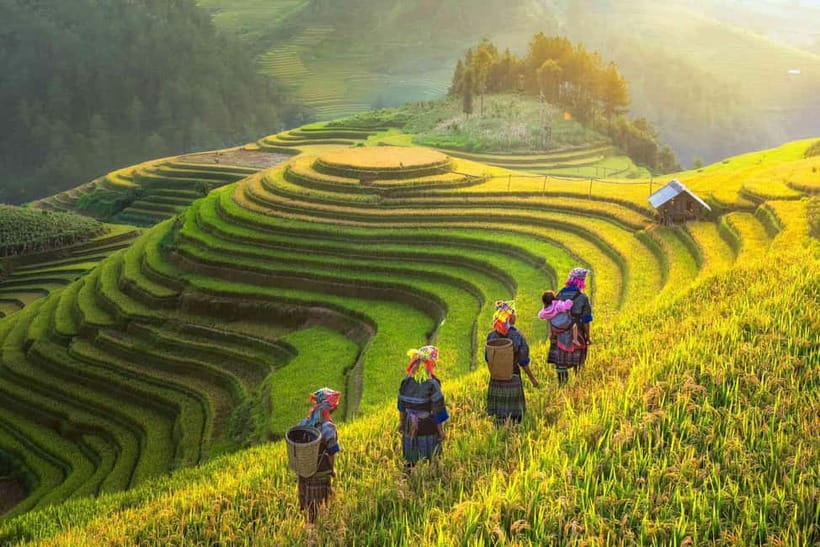 From Hanoi: 2-Day Luxury Sapa Trekking Tour with Homestay - Day 2: Ta Van to Giang Ta Chai (Red Dao) and Back to Hanoi