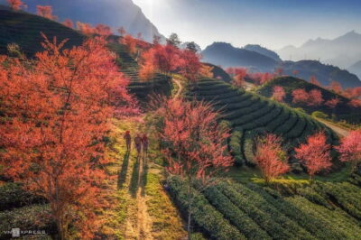 From Hanoi: 2-Day Luxury Sapa Trekking Tour with Homestay - Day 1: Y Linh Ho to Lao Chai, Then Ta Van for Cooking and Rest