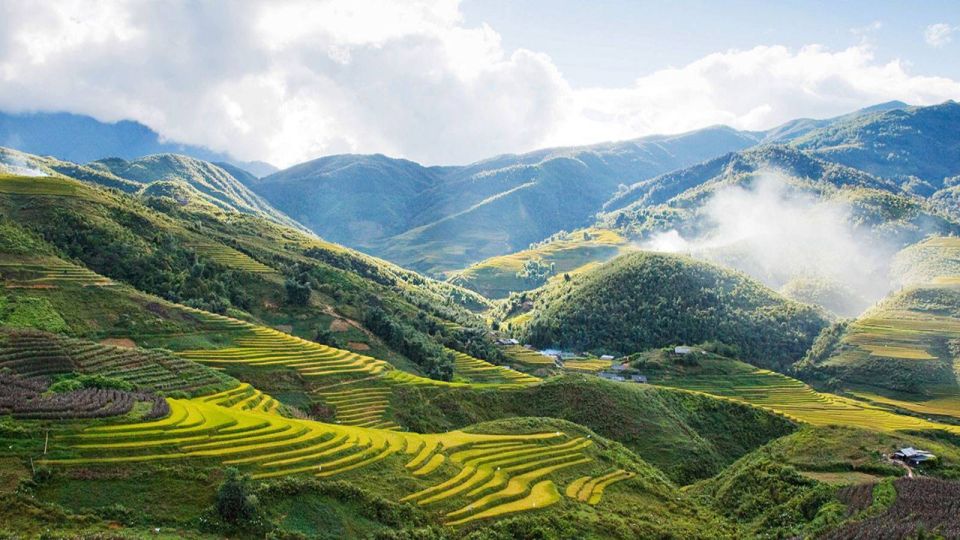 From Hanoi: 2-Day Overnight Sapa Tour by Limousine - Day 2: Muong Hoa valley treks to Y Linh Ho, Lao Chai and Ta Van
